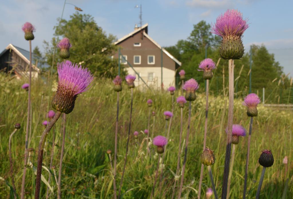 Penzion Kovářská Buitenkant foto